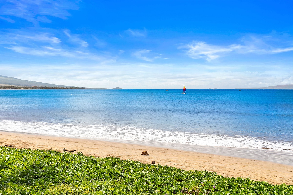 Beautiful Sugar Beach, a 5 mile walkable beach reaching from North Kihei to Maalaea