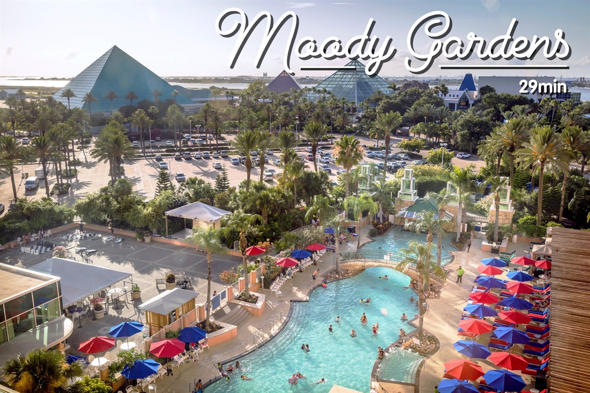 At the Eastern end, you&rsquo;ll find tons of activities like Moody Gardens with their Aquariums, golf, and more.