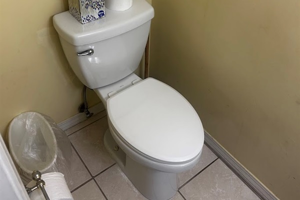 Downstairs half bath toilet