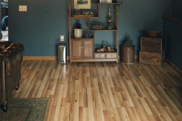 Family Room Decor