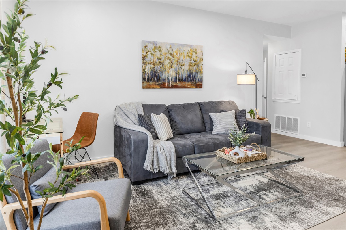 Living room - Sleeper Sofa