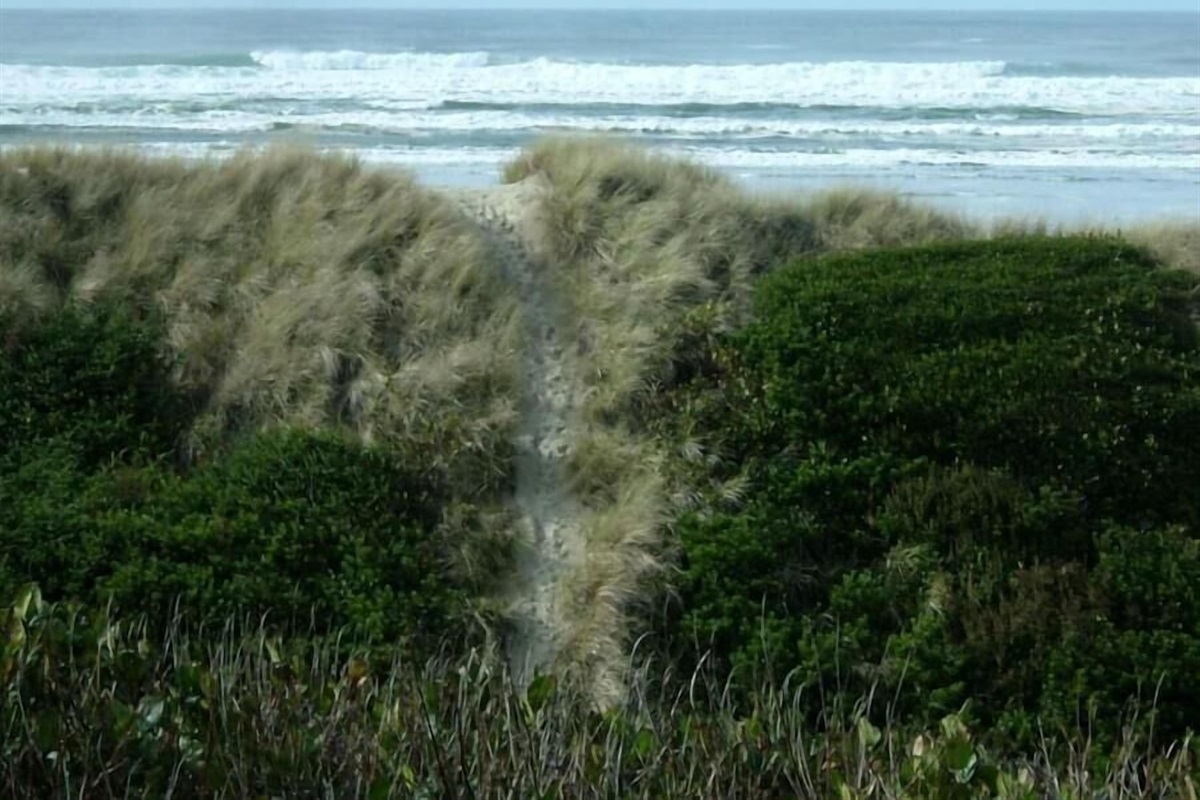 path over dune to beach