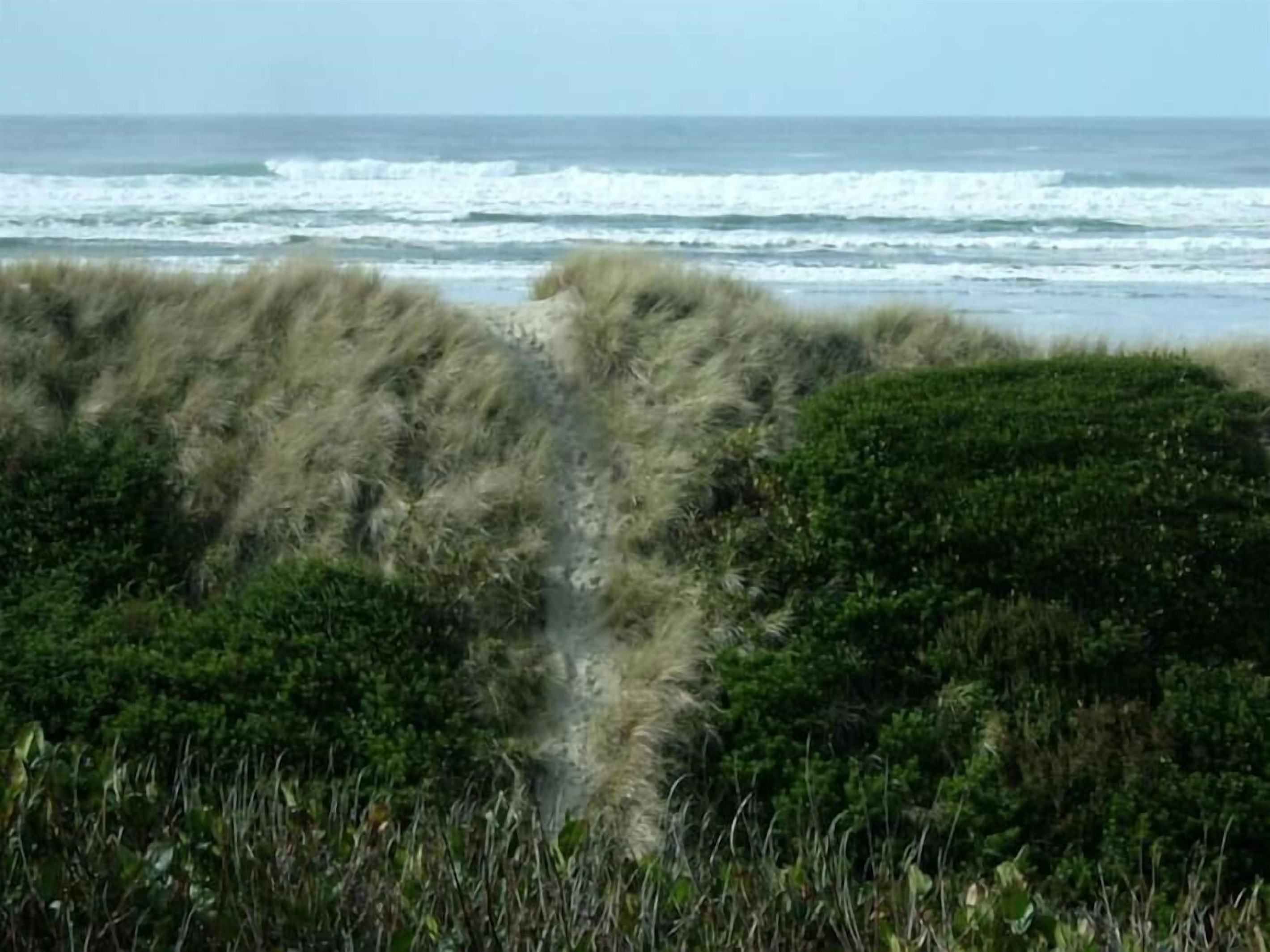 path over dune to beach