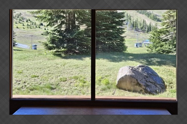 View from main unit window.