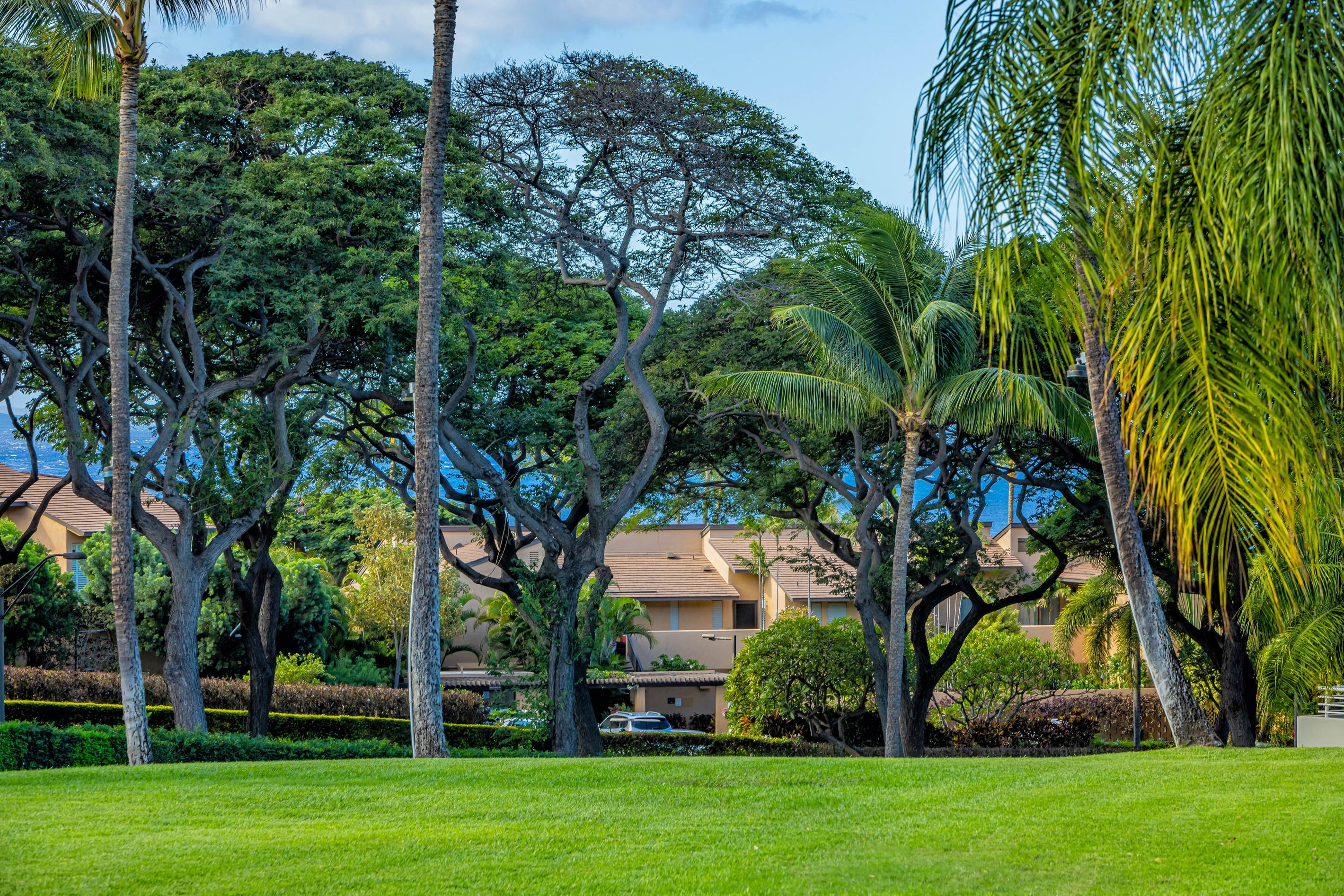 The oceanview is at a distance under the trees. Keawakapu beach is a 10 minute walk (or short drive) away
