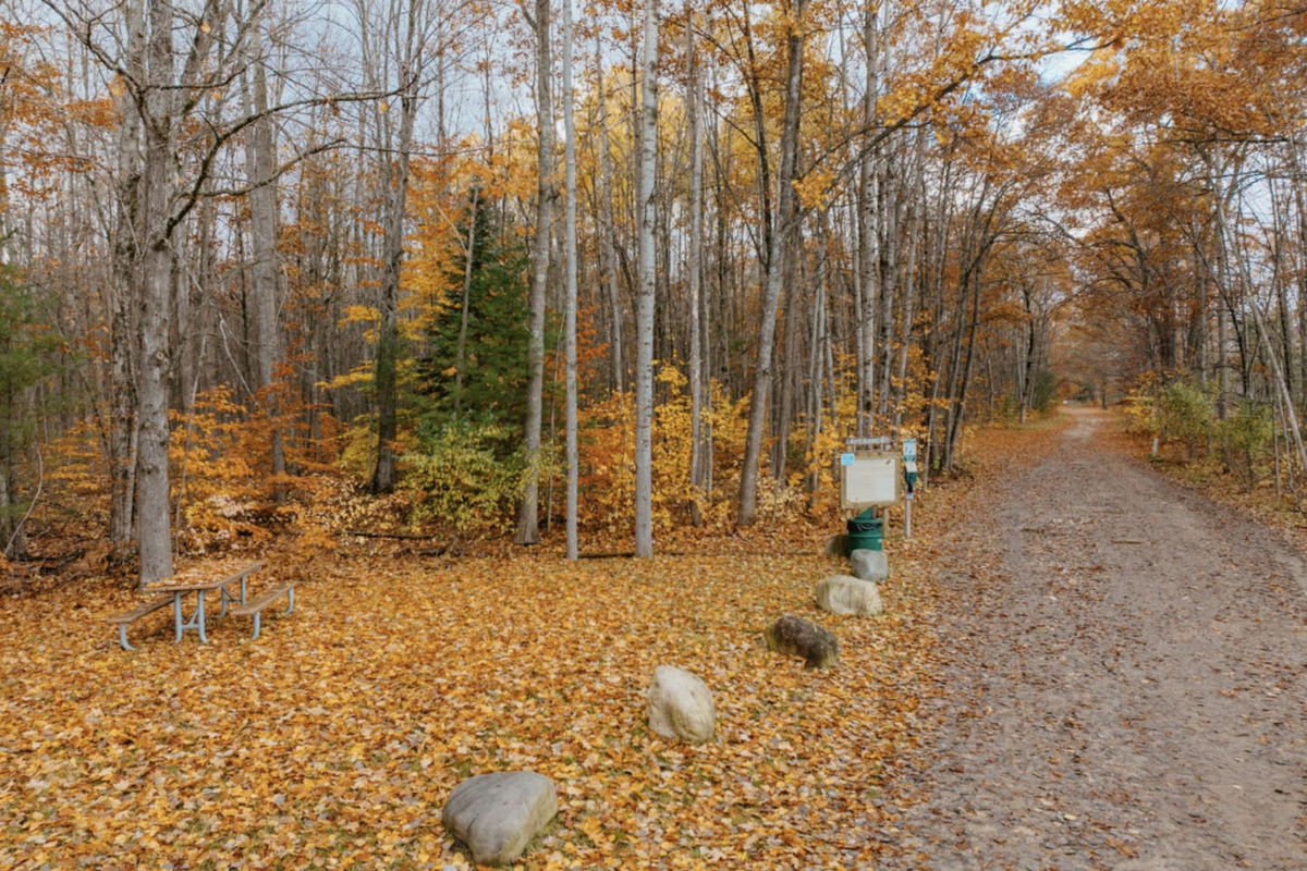 Windcatch Group- Woodlands Bungalow