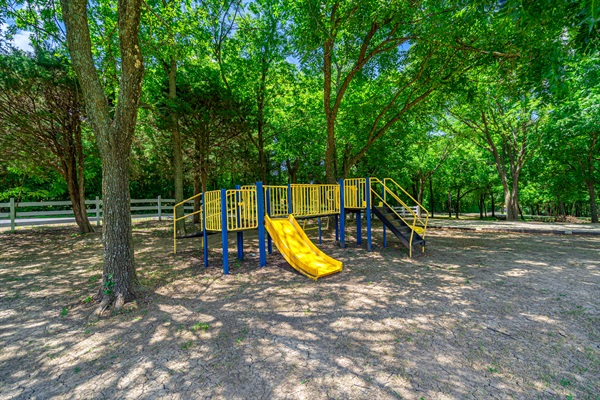 Something for everyone, even the littles!