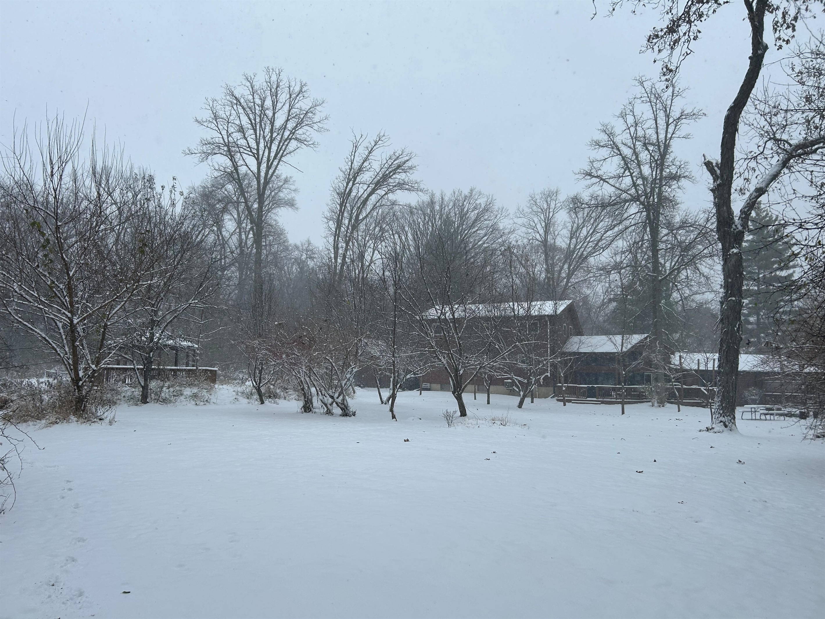 The snow doesn't stop the wildlife from coming to visit. Look for birds in the trees and other wildlife on the ground.