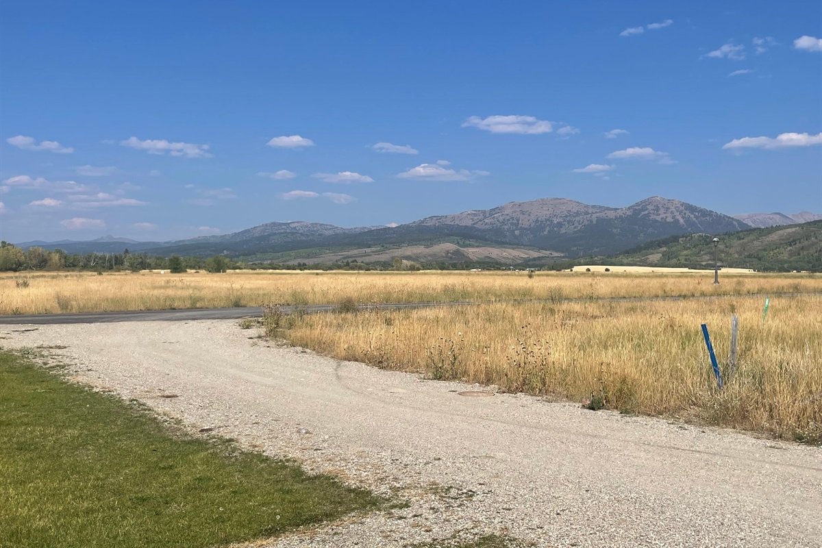 Chris P., Sep 7, 2025