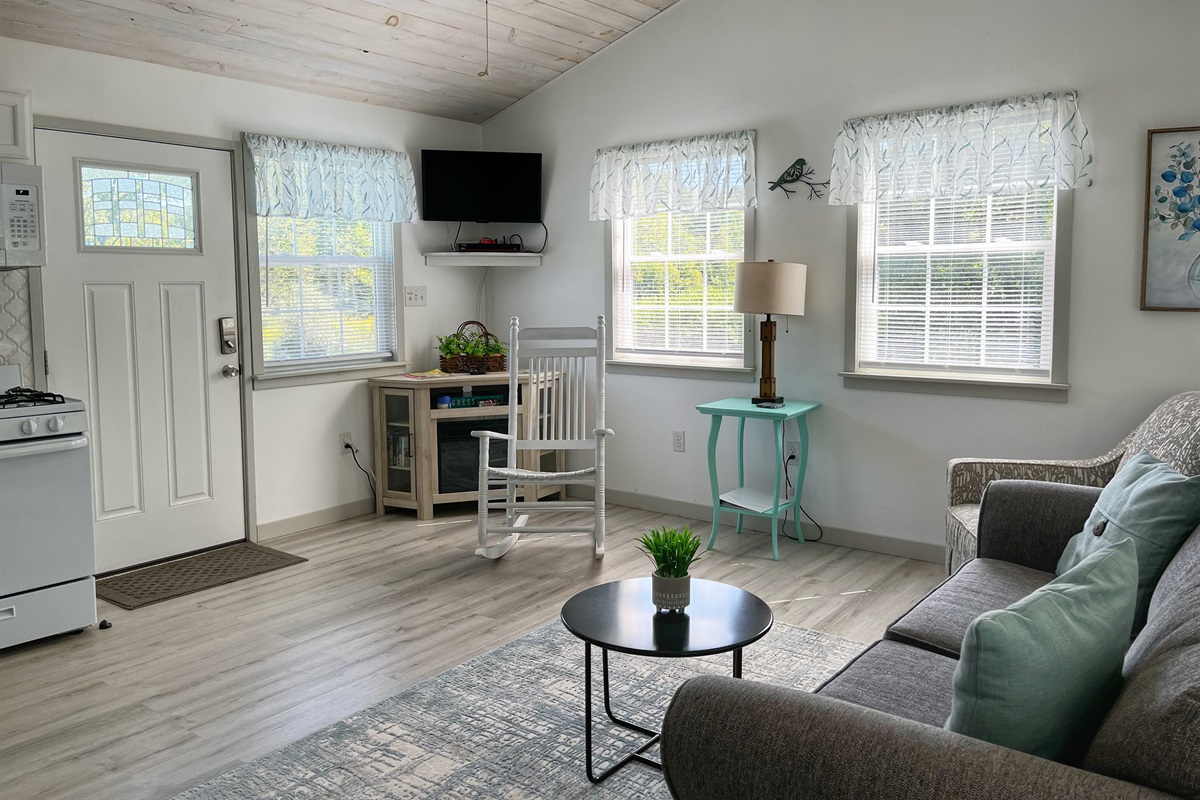 Comfy Living room with sleeper sofa