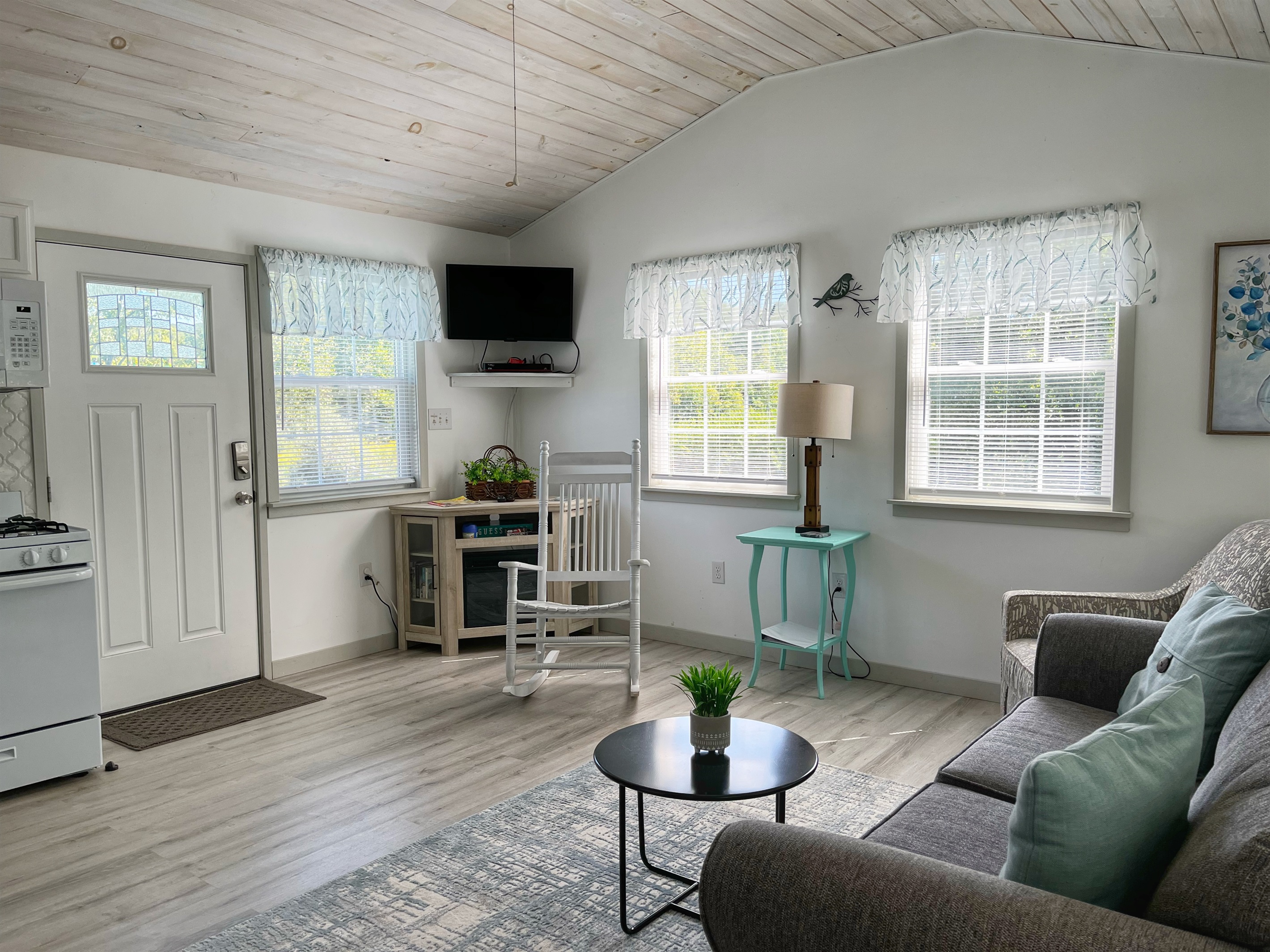 Comfy Living room with sleeper sofa