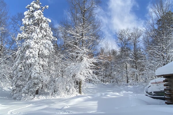 Just another winter weekend in Tomahawk with 12" of snow