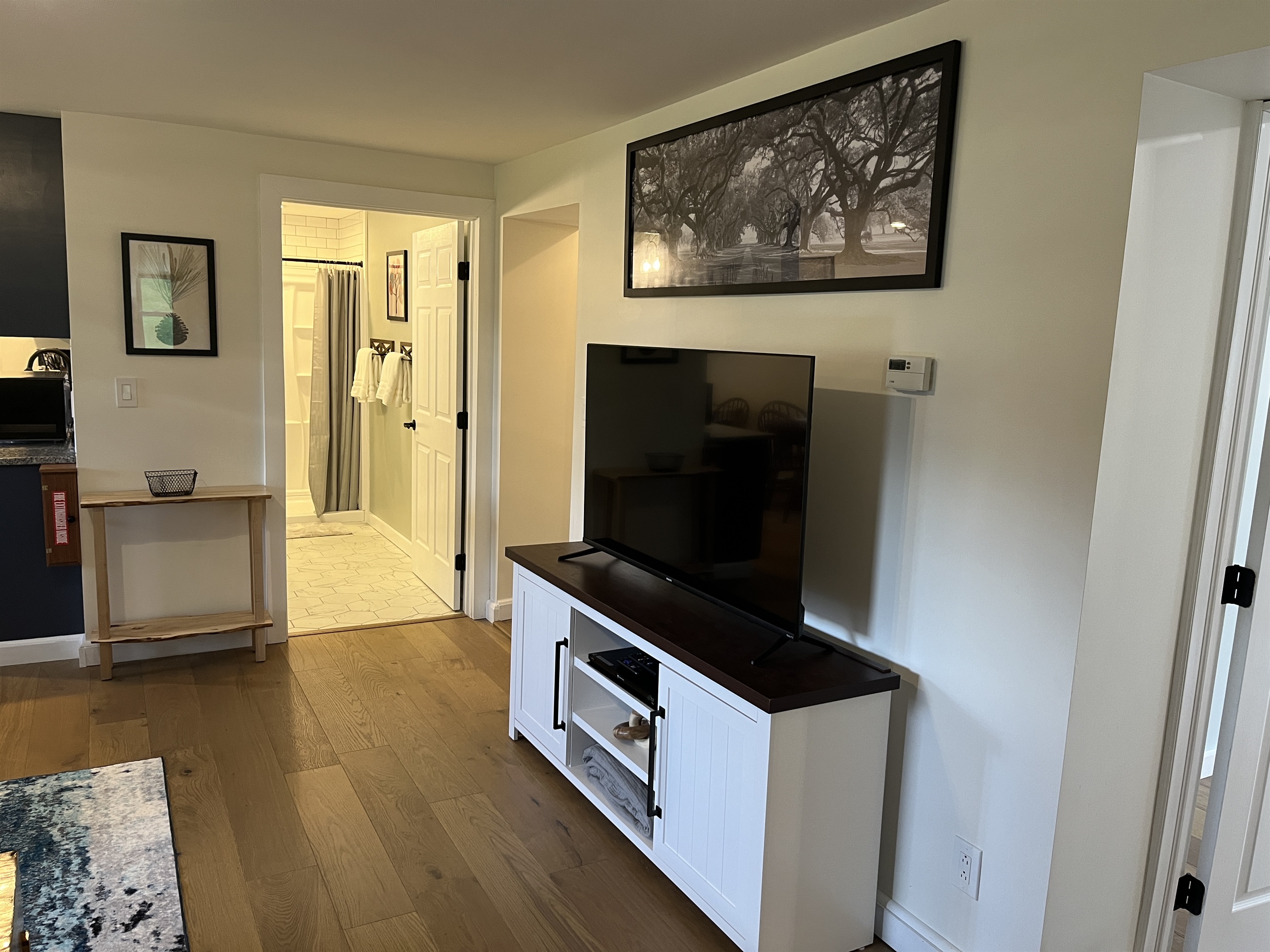 Large ROKU TV in living room w/ bathroom beyond