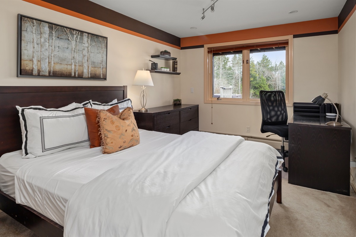 Lower level queen bedroom