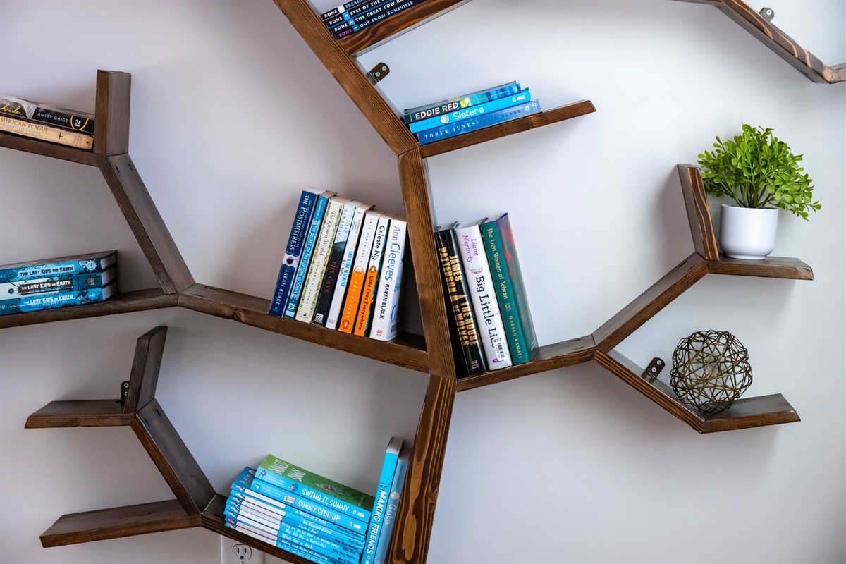Unique modern shelving with curated books and mountain-inspired décor.