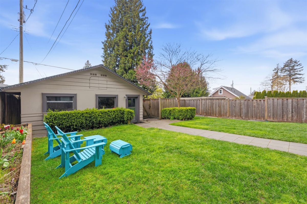 Backyard