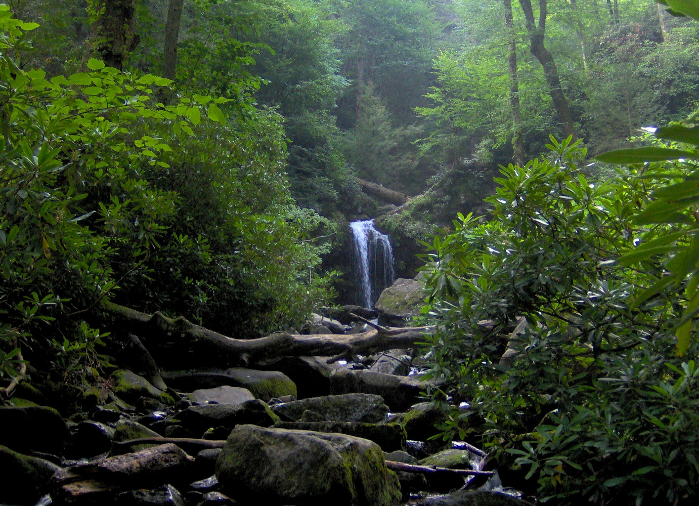 roaring fork nature scenery