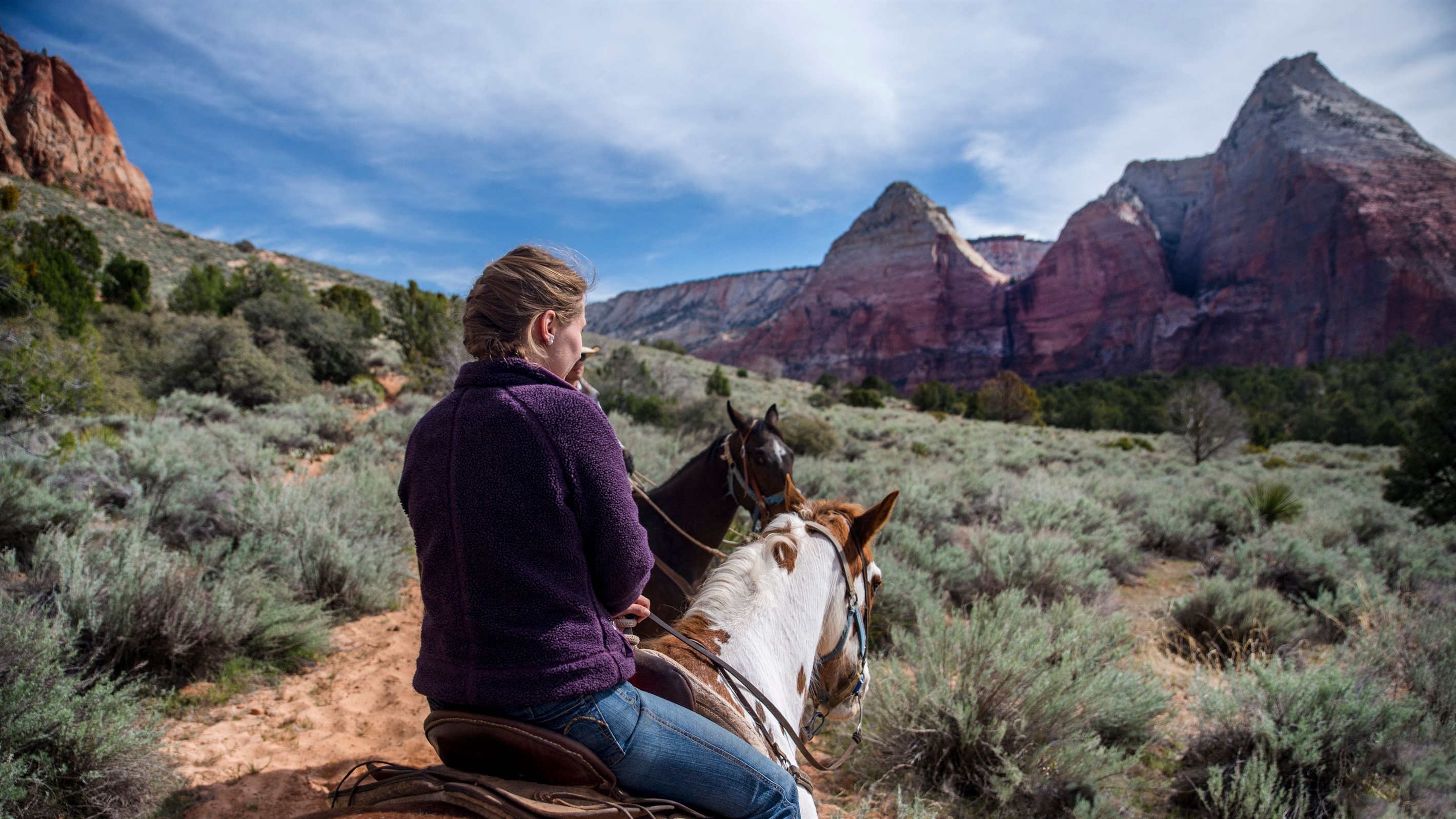 Horseback Options Nearby
