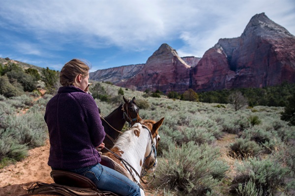 Horseback Options Nearby