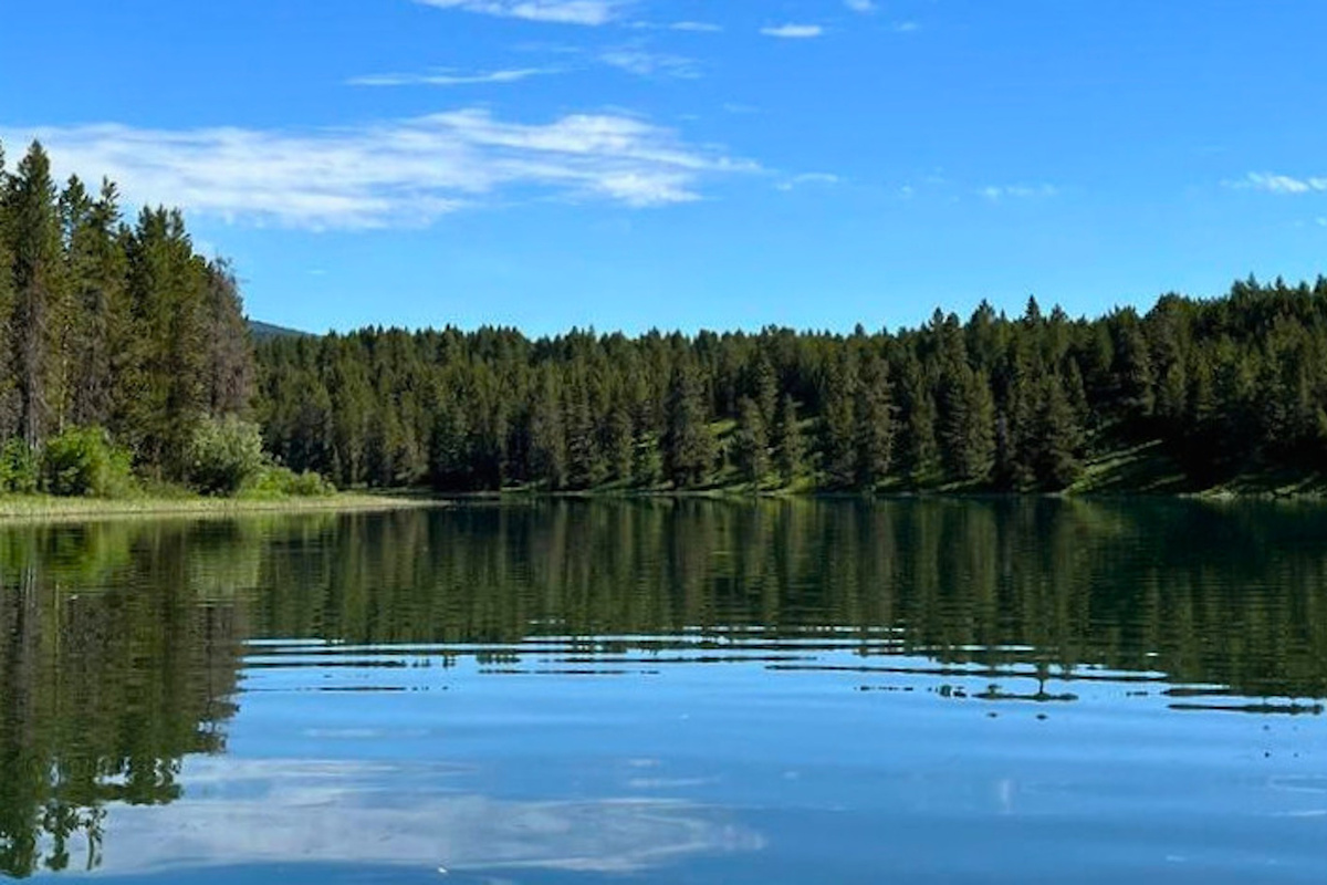 Take the kayaks or paddle board down the river