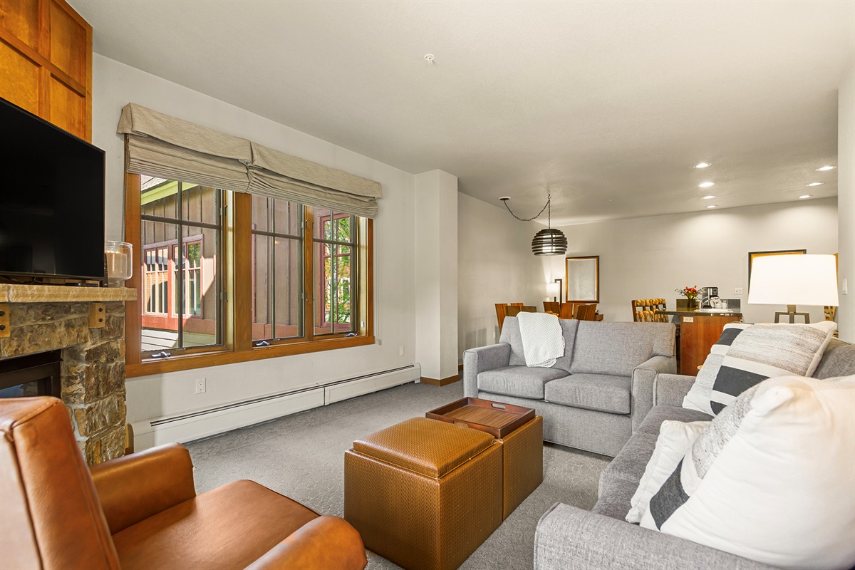 Living room with sleeper sofa