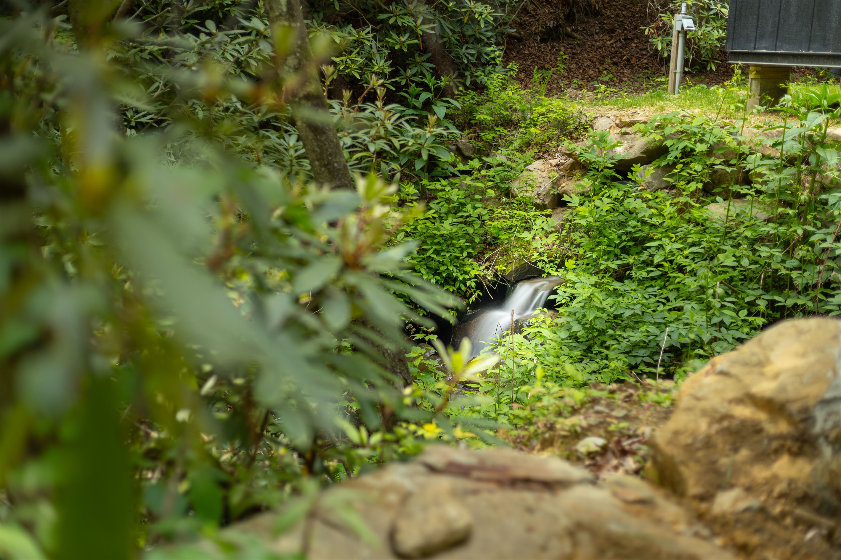 Tucked into the landscape, the natural stream adds peaceful sounds and mountain charm.