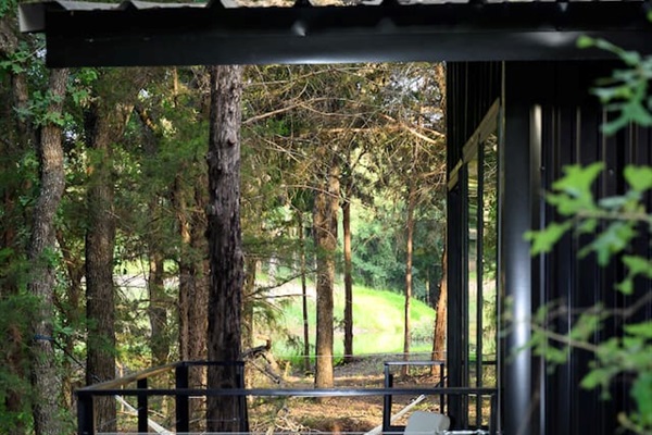 Your patio with a view of the pond through the trees.