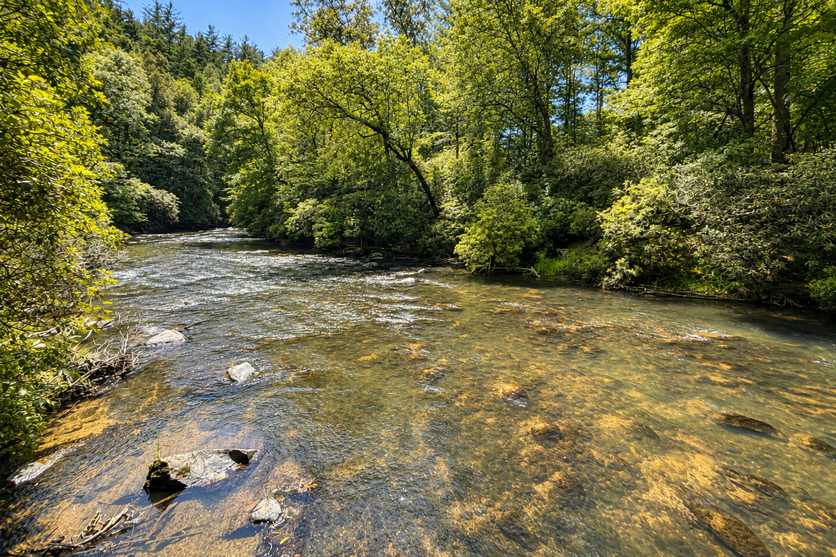 Year round flowing river! 
