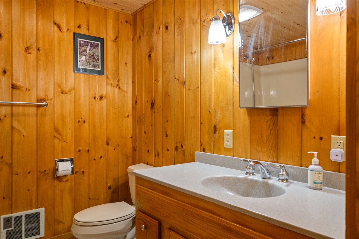 Master Bath - Lower Level 