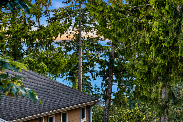 Peeka-boo Lake Sammamish View