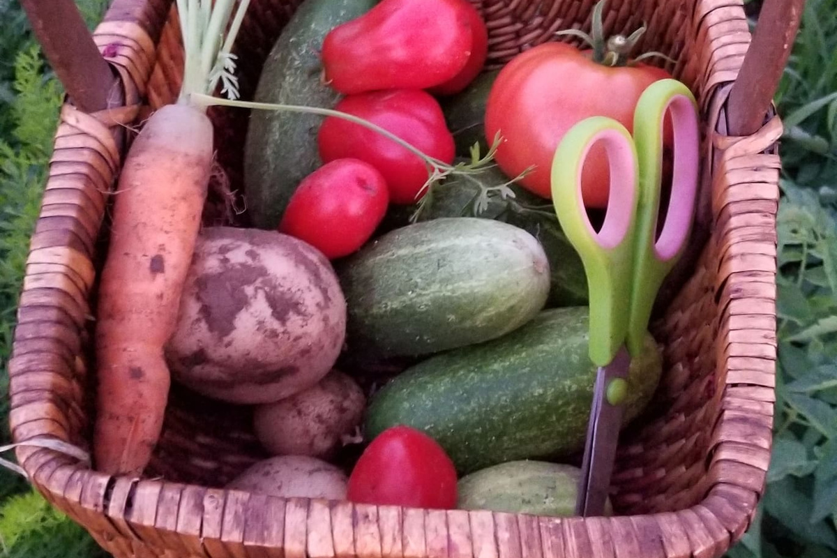 Produce