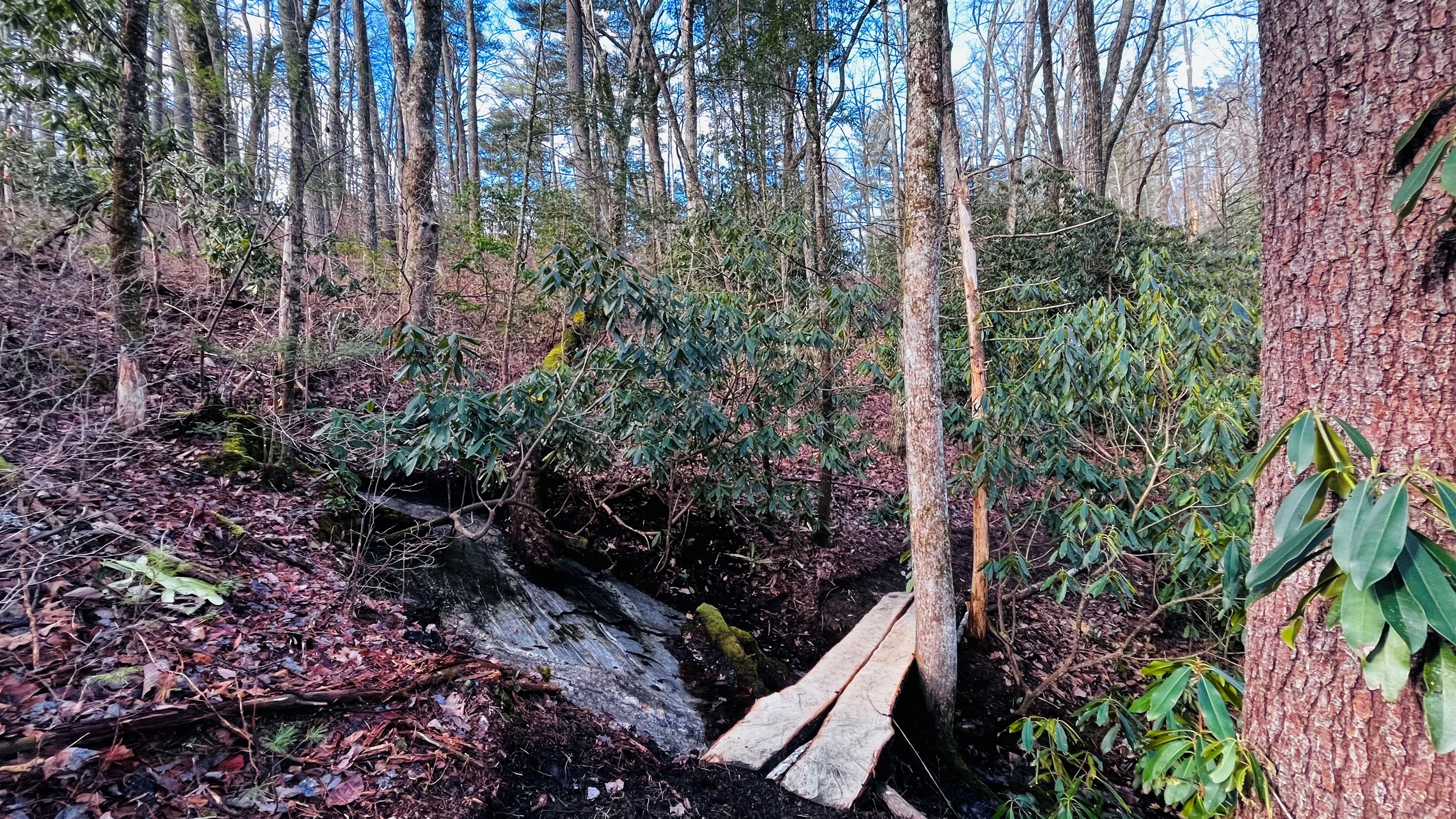 Get a workout on our newest trail, which features a bridge over a small stream.