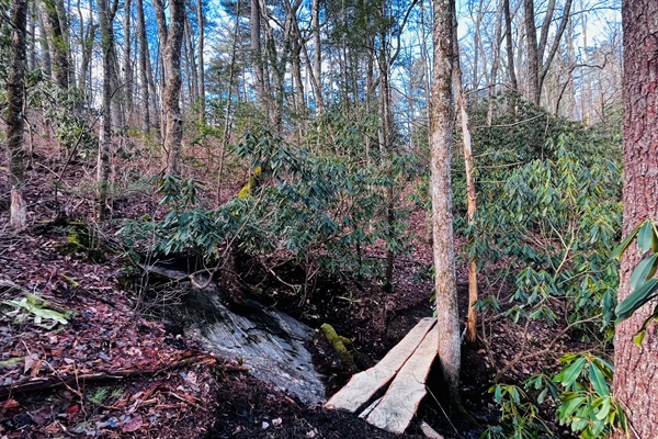 Get a workout on our newest trail, which features a bridge over a small stream.