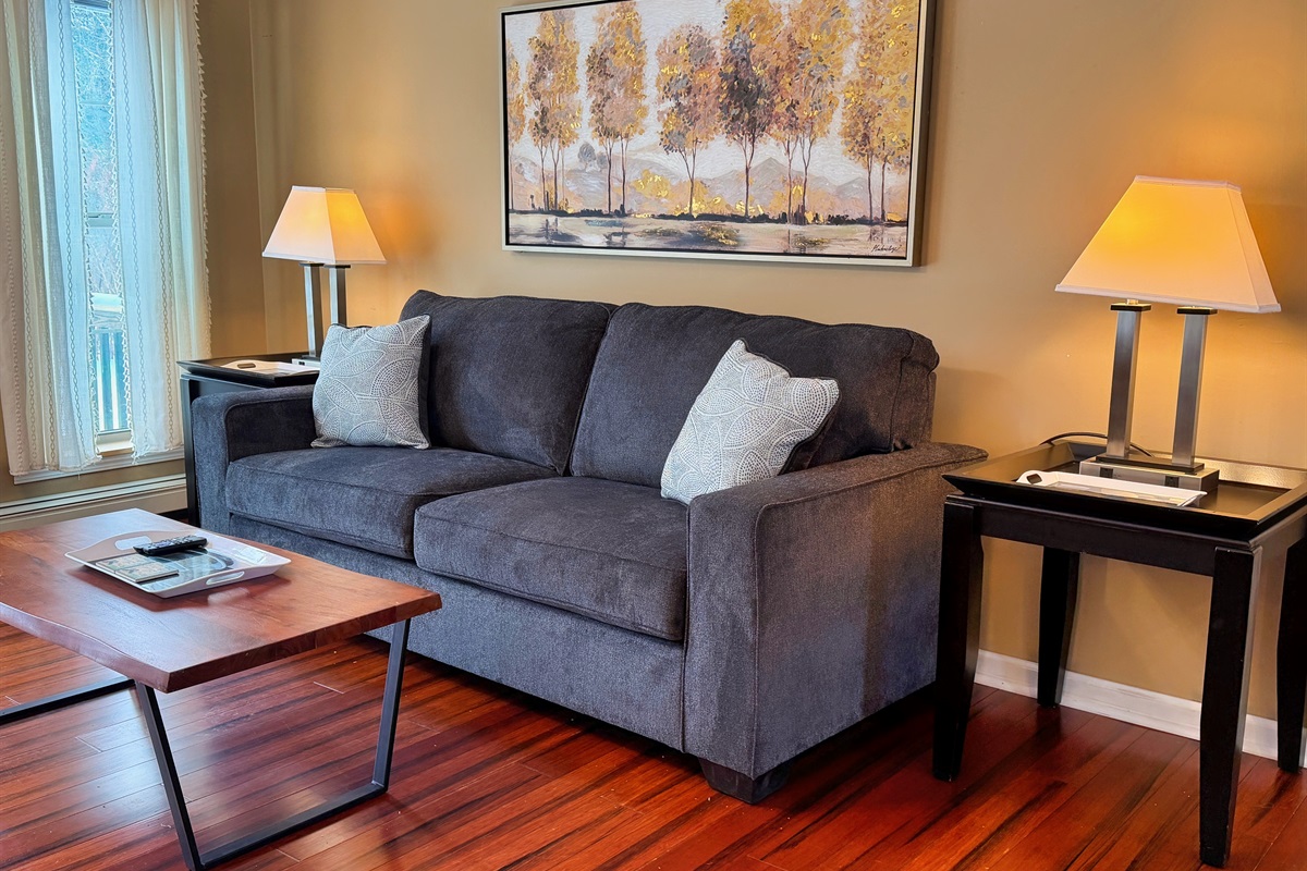 Light filled living room with Smart TV. 