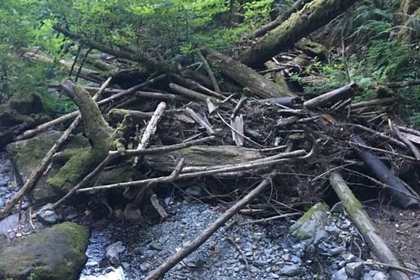 Another one of the creeks