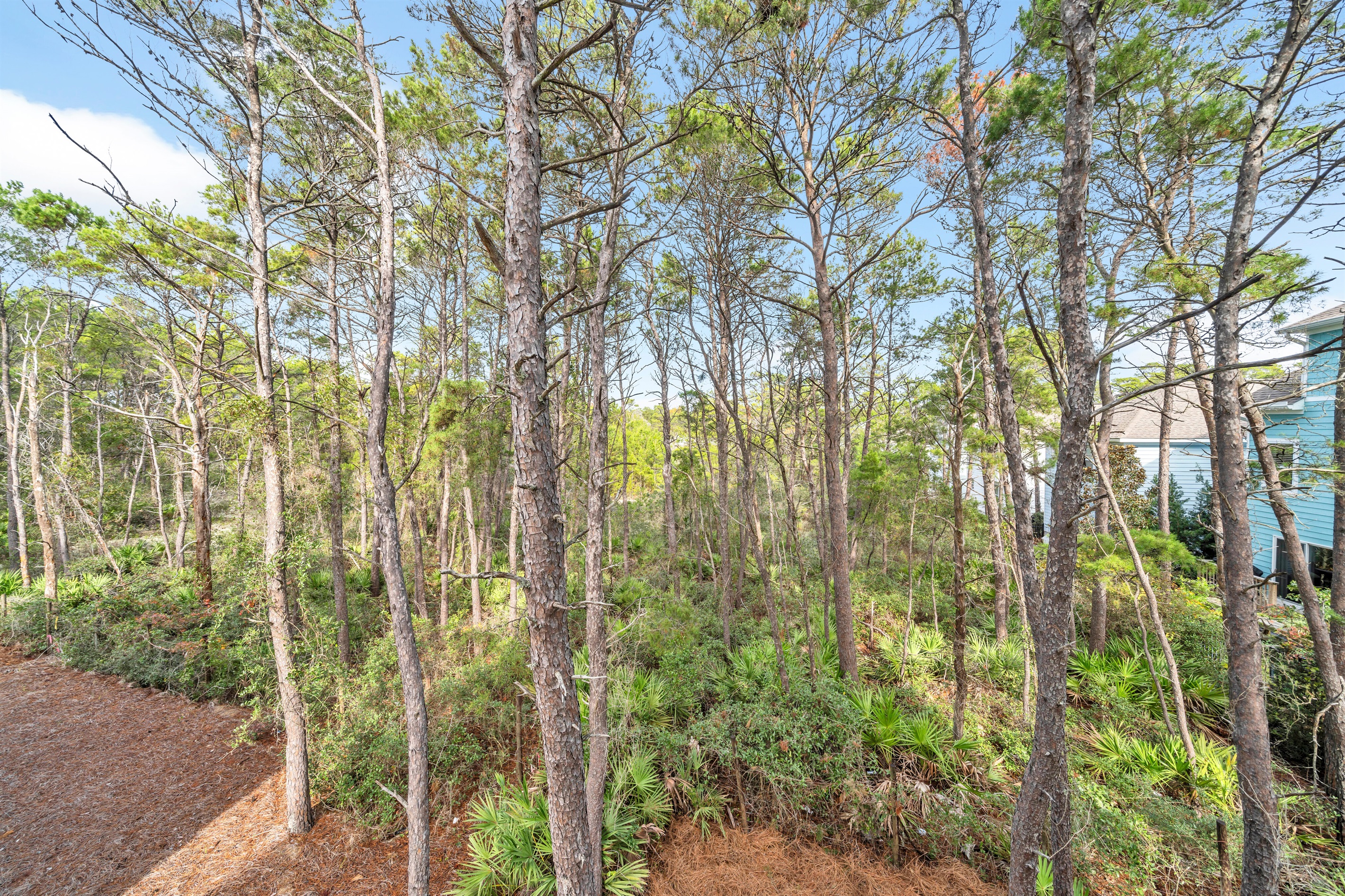 Beautiful sitting area on the back porch