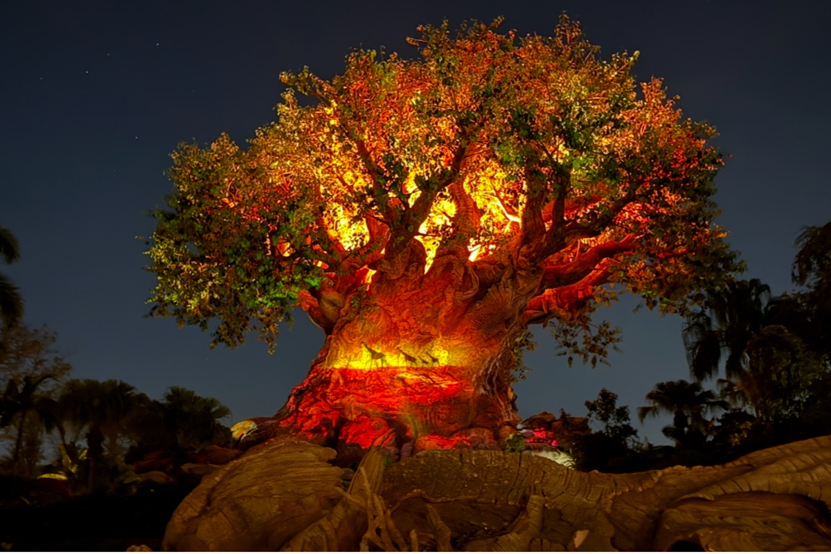 Close to Disney’s Magic Kingdom, EPCOT, Disney’s Animal Kingdom, Universal Orlando Resort, EPIC Universe and all Central Florida has to offer !