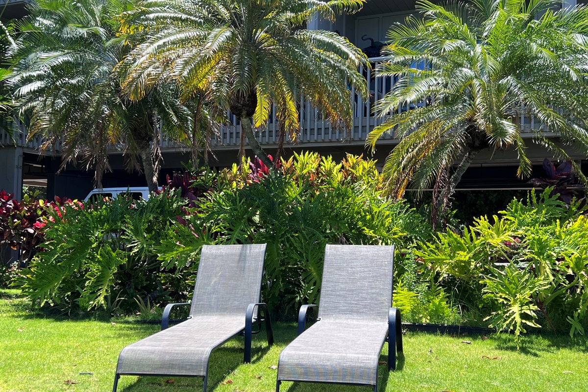 Oceanfront loungers