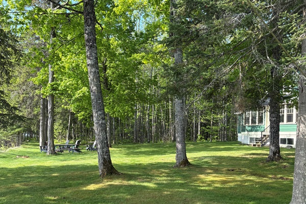 From the empty lot towards fire pit