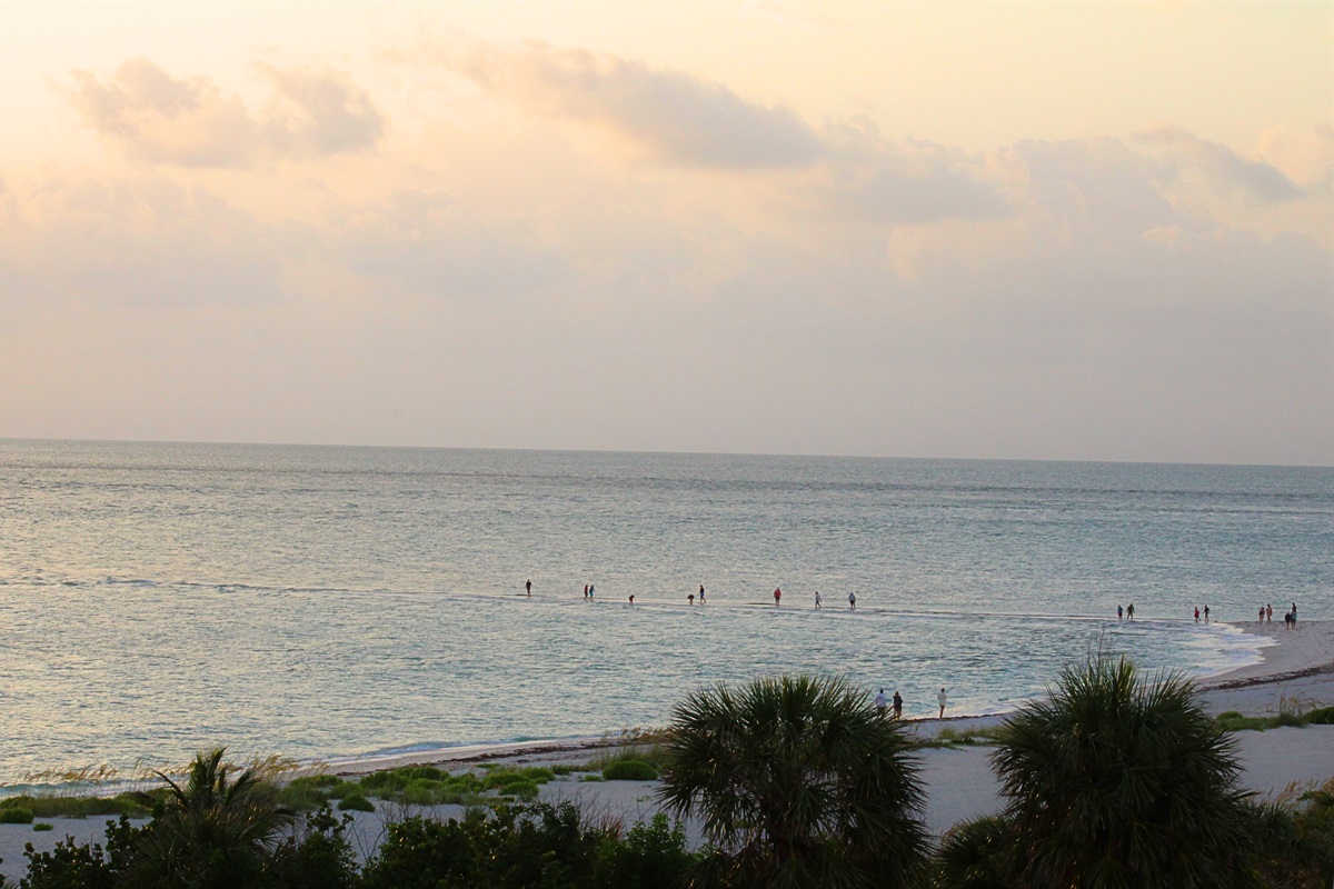 Beach lovers searching for shells at sunset