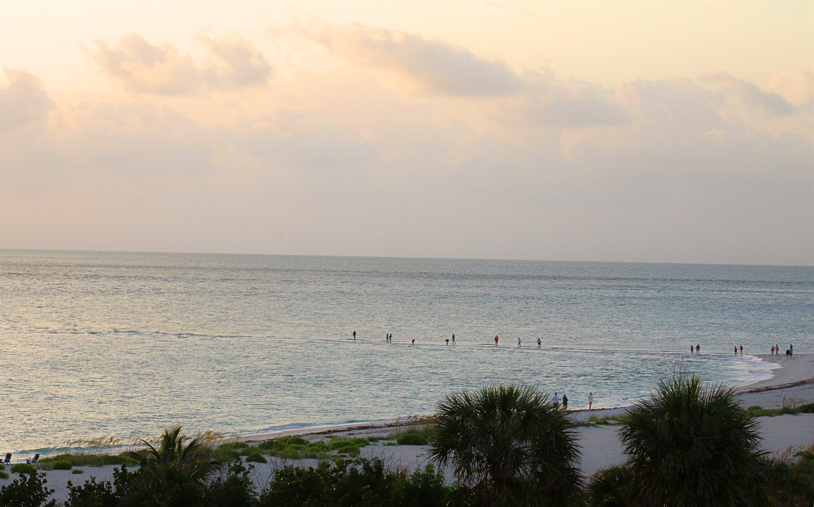 Beach lovers searching for shells at sunset
