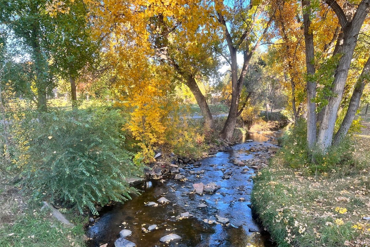 Joseph Martinez Park. 2 Blocks North. Our parks are all connected by walking paths that lead directly to downtown.  Great for walks with pets and lots of loops for exercise.