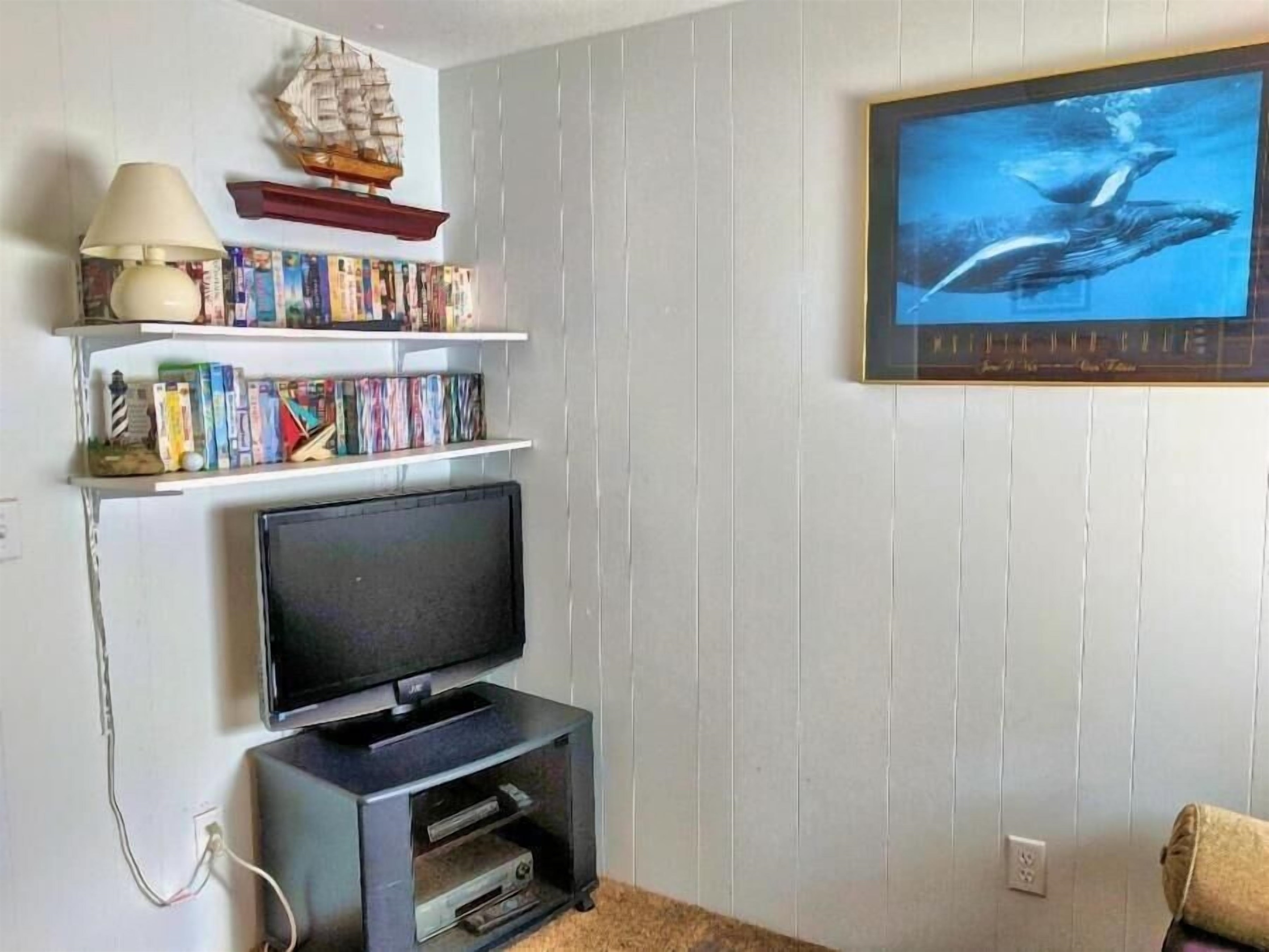 TV in fold flat sofa room