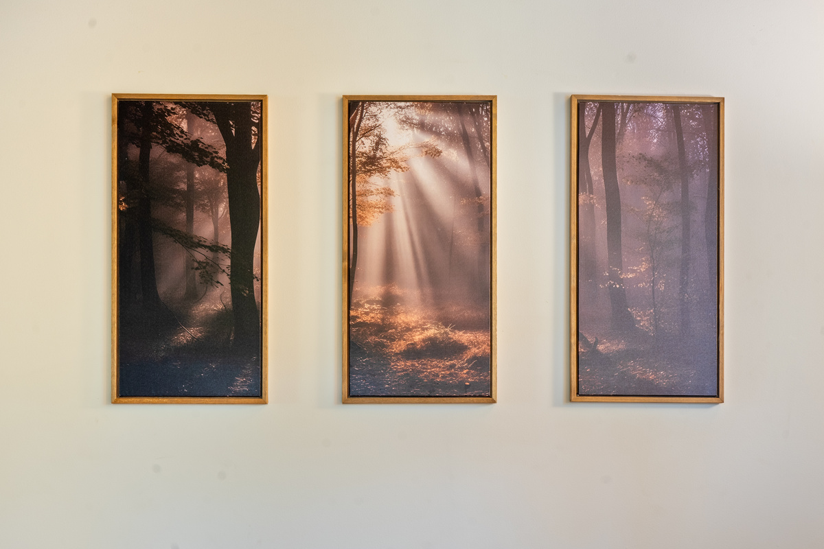 Admire the serene ambiance created by this triptych nature art installation. Mounted securely on the left side wall of the primary bedroom, these three framed canvas prints depict sunrays piercing through a misty forest to complement the cabin feel.