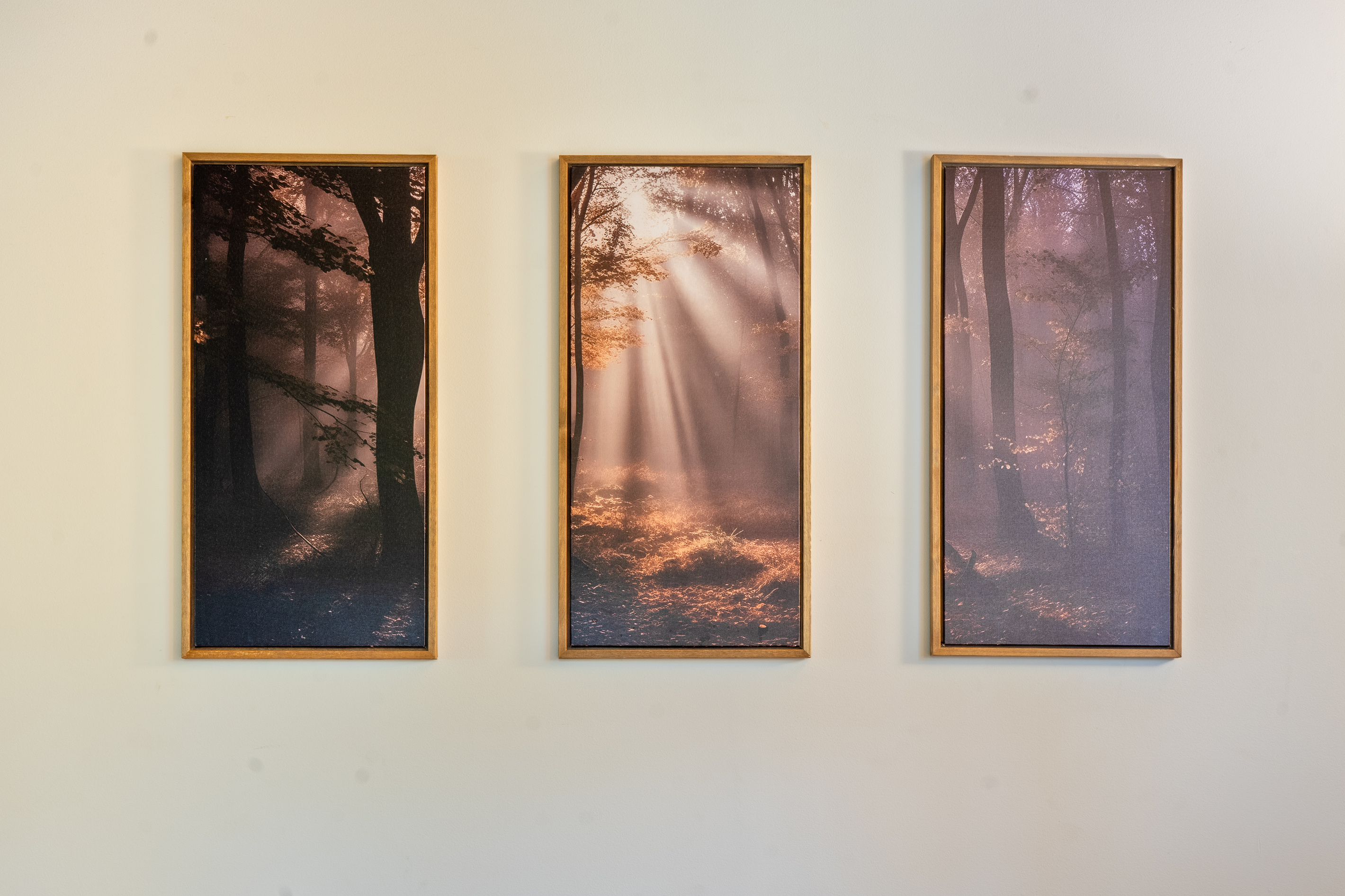 Admire the serene ambiance created by this triptych nature art installation. Mounted securely on the left side wall of the primary bedroom, these three framed canvas prints depict sunrays piercing through a misty forest to complement the cabin feel.