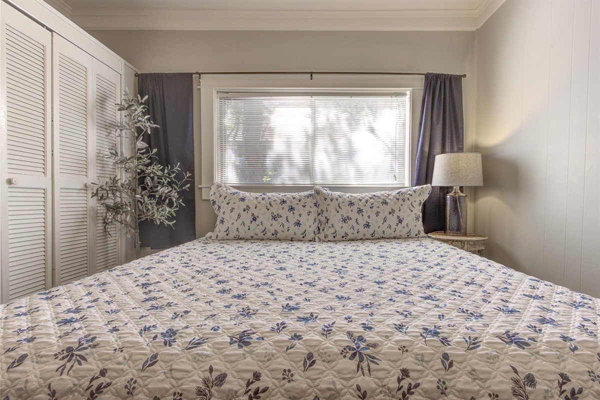 Bedroom #3: King Bed, TV, dresser, closet