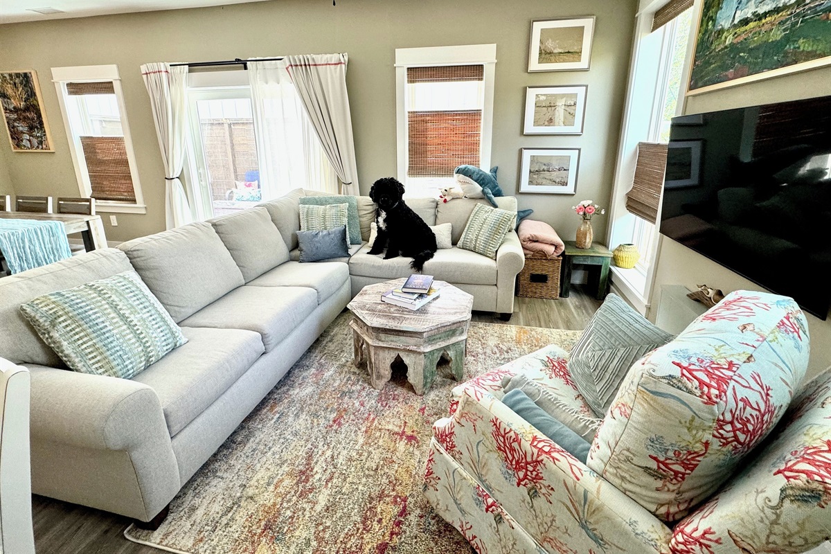 Living space features plush couch, sheer and blackout curtains.