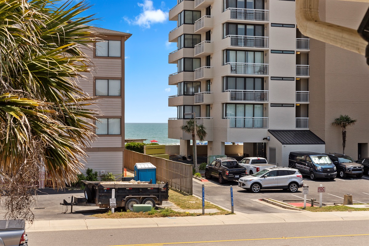 5 Seagals Across from the Beach