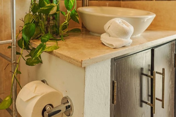 Bathroom - Master suite 