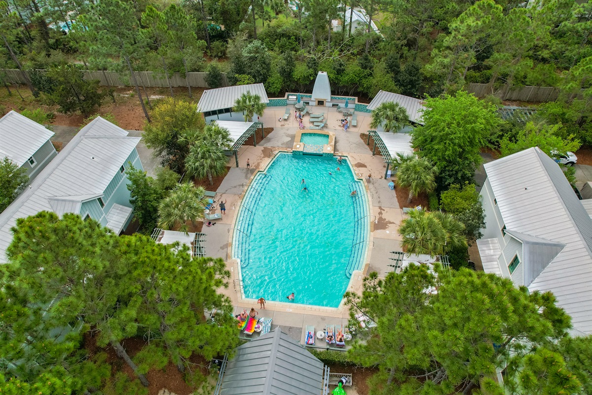 DragonFly Pool